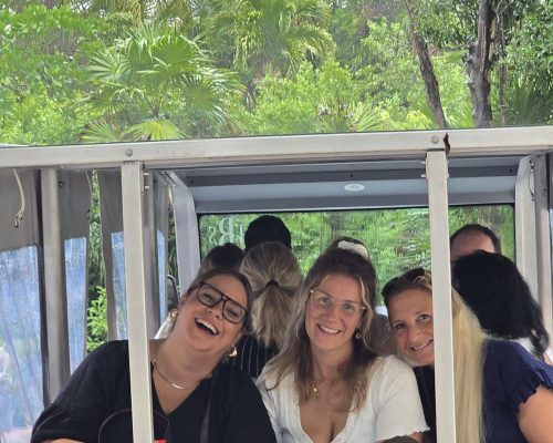 WhatsApp Image 2025-12-29 at 19.54.00